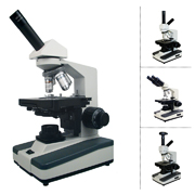 College & University Compound Microscopes - Microscope